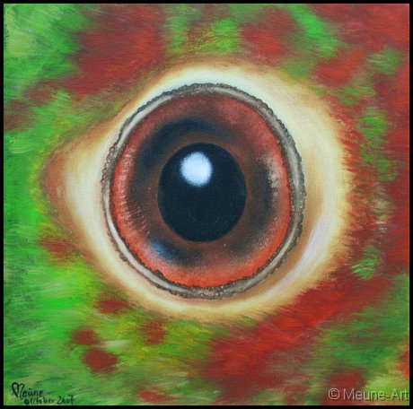 Augenblick eines Papageis Acryl auf Leinwand;
30 x 30 cm